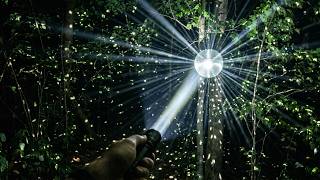 Forest Disco - Klarus EP10 Pro - Test & Review #flashlightreview #outdoorgear #edc 