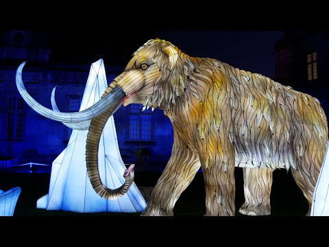Longleat The Festival of Light