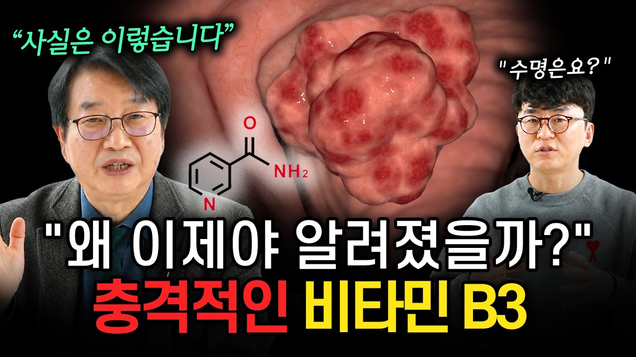 비타민 B3를 먹으면 암이 더 커질까? | 암 권위자가 직접 먹는 비타민 B3의 진실 (배석철 교수)