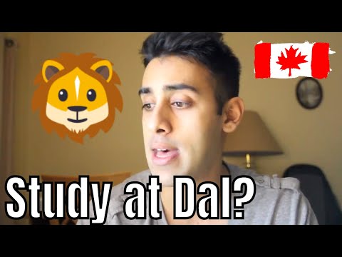 7-reasons-to-study-at-dalhousie-university!