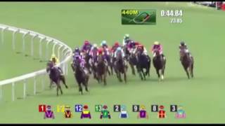 Pakistani most unpredictable nation hongkong horse race pakistan horse won