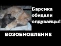 Барсика обидели Олдувайцы