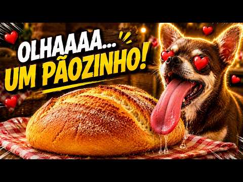 PÃOZINHO CASEIRO PET - UM PIQUENIQUE FOFO NO QUINTAL!