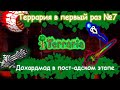 Террария в первый раз №7. Дохардмод в пост-адском этапе, эксперт.