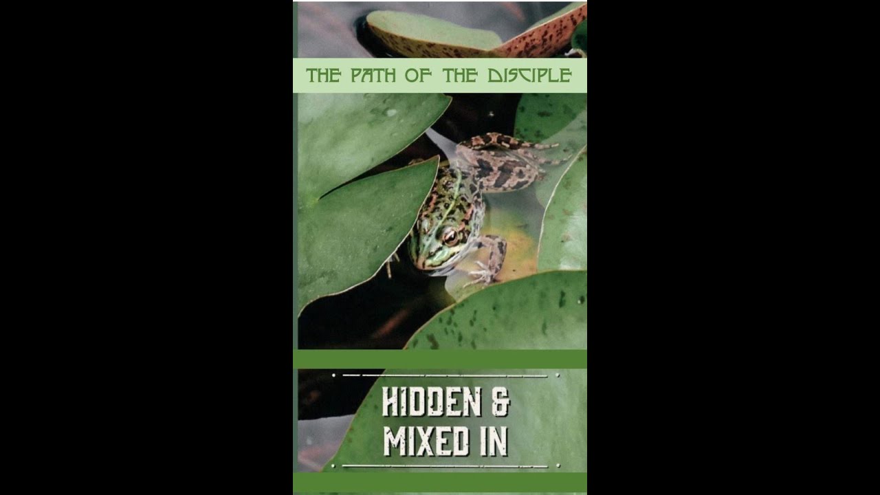 July 30, 2023 Potsdam United Methodist Worship Service YouTube