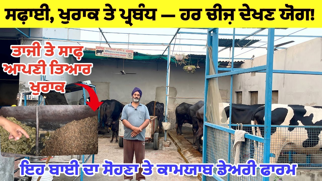 ਅਜਿਹਾ ਫਾਰਮ ਪਹਿਲਾਂ ਨਹੀਂ ਵੇਖਿਆ! ਇੱਕ ਇੱਕ ਚੀਜ਼ ਸ਼ਾਨਦਾਰ!