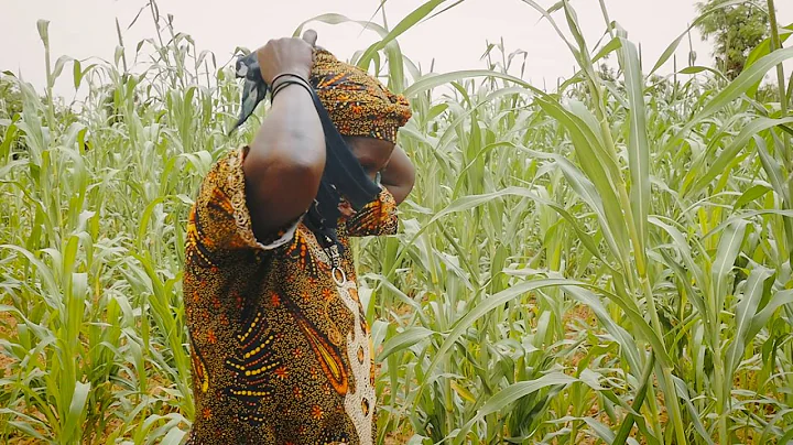 How to Collect and Use Human Urine to Fertilize Your Crops