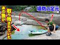 浅瀬に取り残された魚をリールの付いていない釣竿で釣り上げる！！