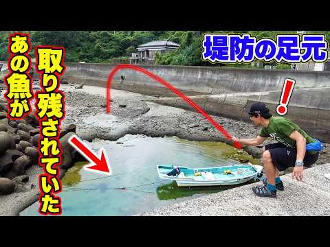浅瀬に取り残された魚をリールの付いていない釣竿で釣り上げる！！