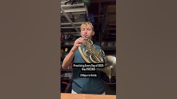 #horn #frenchhorn #band #orchestra #brass #windinstrument #music #musician #practice #challenge #fyp