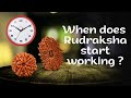 In how much time rudraksha beads show result  should i wear rudraksha all the time  neeta singhal