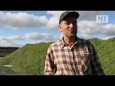 ruiskuttaa Whisperernuori tyttö on anaali seksiä