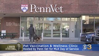 Pet vaccination and wellness clinic at Penn Vet