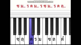 เต้ยโขง เมโลเดียน