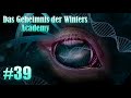Das Geheimnis der Winters Academy - KAPITEL 39