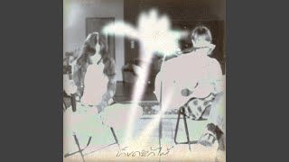 เก็บดอกไม้ (Live Session)