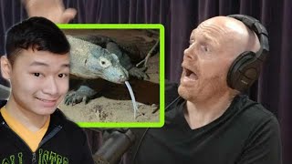 Komodo Dragons Freak Bill Burr Out! Joe Rogan | Ricky life reaction