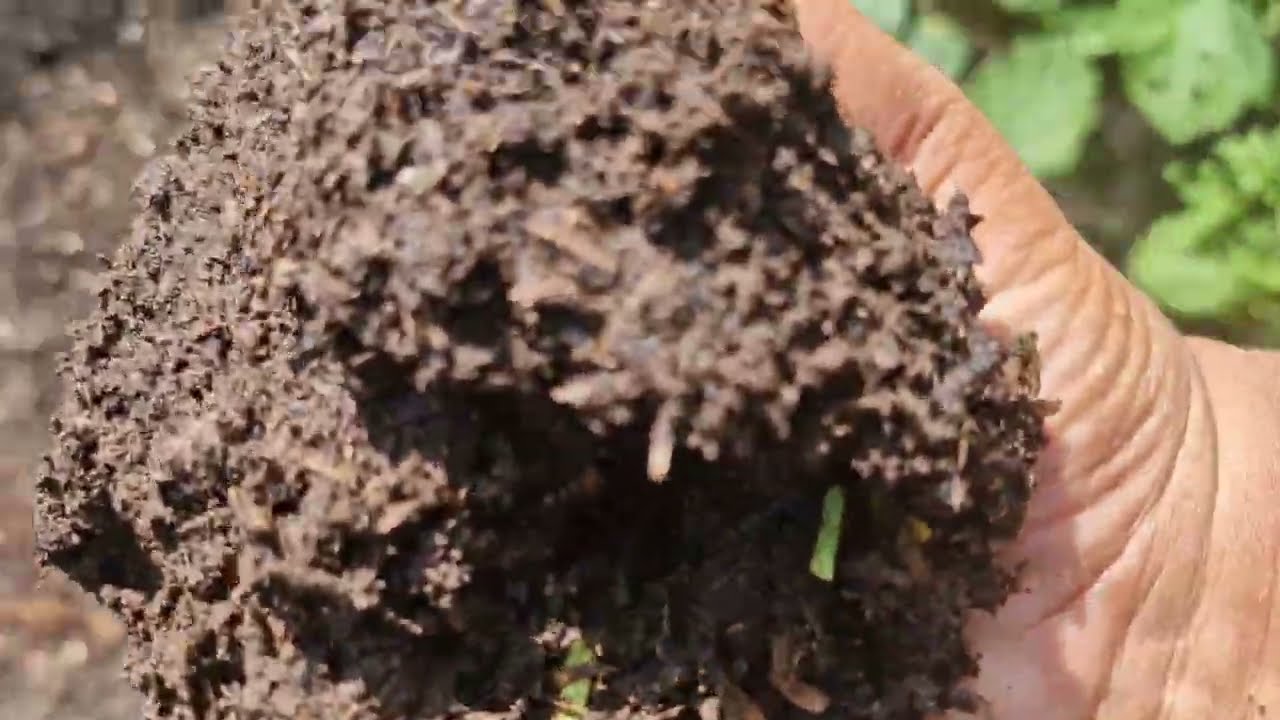 For the first time, Irma cooked white chicken opor mixed with pondo eggplant.