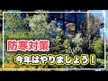 これをやれば大丈夫！オージープランツの寒さ対策！【オージープランツ】