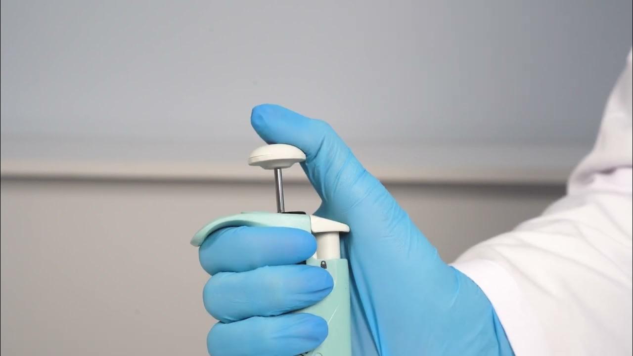 How To Use Micropipette GER YouTube