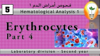 Hematology (5) Erythrocytes part 4 كرات الدم الحمراء