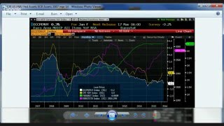 The Dollar and the Euro in a Negative Interest World with Joseph Trevisani