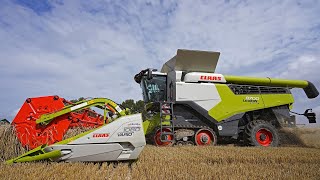 Brand NEW Claas Lexion 8700 Terra Trac | Wheat harvest | Jensma Agro
