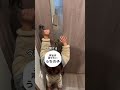 1歳児と愛犬が再会したら…