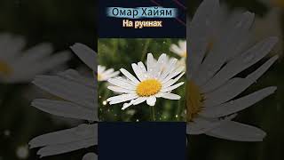 На руинах — Стихи Омара Хайяма о мудрости и жизни #shorts