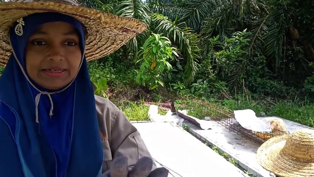 Proses Membina Rumah Setingkat Youtube