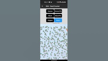 SGA Seed Counter Mobile Application Demo 2 (Draft)
