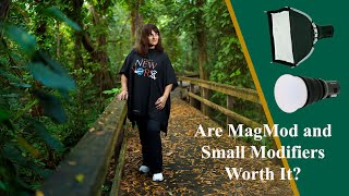 Are MagMod and Small Modifiers Worth It?  Let’s Clear Up the Confusion! Net Worth