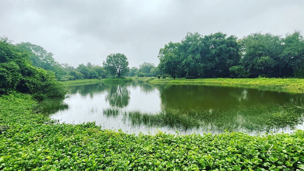 Serenity Library and Botanical Garden (Ahmedabad) YouTube