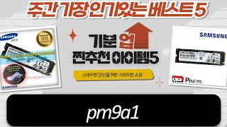 기모청바지 PM9A1 SSD 가성비 끝판왕? (256GB) 벌크 후기!