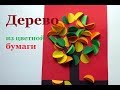 Осеннее дерево. Аппликация из цветной бумаги. Как сделать поделки на тему Осень.