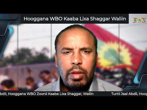 Turtii Jaal Abdii Hooggana WBO Kaaba Lixa Shaggar Waliin 