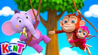 monkey song more nursery rhymes kids kent elephant