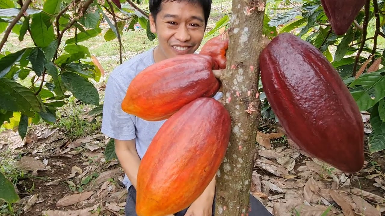 มันคือลูกอะไร  | เอิร์ธสดชื่น