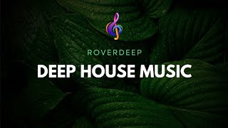 7.Deep House Primetym Mix • RoverDeep • House Music