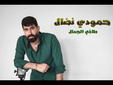 جديد النجم حمودي نضال طاغي الجمال حصري 2024