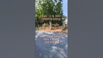 Đất gần đường Nhuận Đức, xã Nhuận Đức, dt 289m2 (L490) #datcuchi #datxanhuanduc