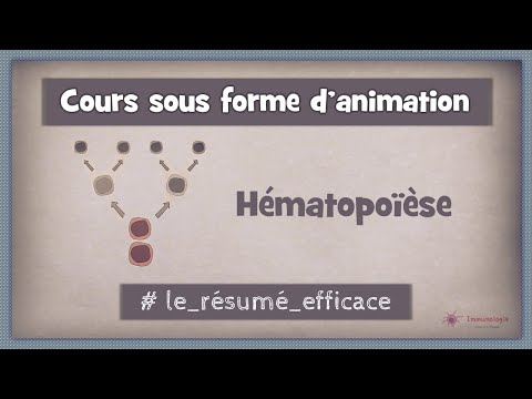 Vidéo: Que signifie l'hématopoïèse ?