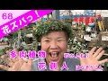 多肉植物の花かんむり【花ズバっ】68旬の花とその使いかた紹介/花創人ガーデニング教室