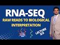 RNA Seq Downstream Analysis and Reproducibility Lecture 3/3