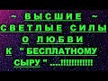 ✔ *АрхиСРОЧНО* «Cветлые Силы о Любви к БЕСПЛАТНОМУ СЫРУ !»