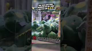 Gigil Na Gigil Yarn?