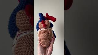 Commission Order from February: Anatomically Correct Human Heart #altcrochet #amigurumicrochet