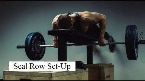 The Perfect Seal Row Set Up