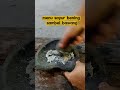 menu simpel masakan ndeso. #masakanjadul #masakanrumahan #kehidupandidesa