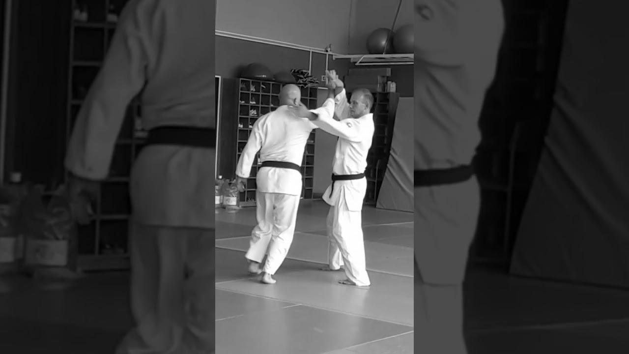 Shomenuchi irimi nage 正面打ち自由技 